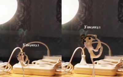 Скачать Гомункул