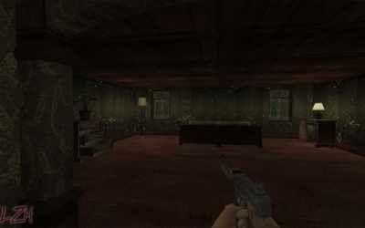 The Last Zombie Hunter