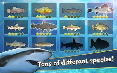 Fishing Simulator - Hook & Catch [ВЗЛОМ: бесконечные деньги] скриншот 4