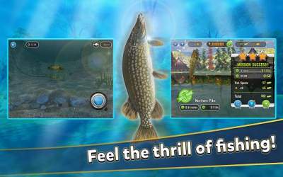 Скачать Fishing Simulator - Hook & Catch [ВЗЛОМ: бесконечные деньги]