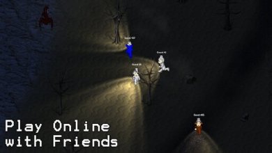 Скачать S2D Multiplayer 2.1