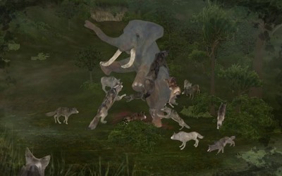 Wild Animals Online screenshot №6