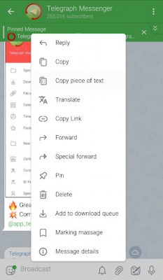 Telegraph screenshot №7