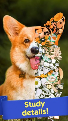 Tiny Things: Поиск предметов в предметах screenshot №1