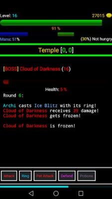 Random Adventure Roguelike Pro screenshot №4