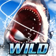 Wild Fishing Simulator [ВЗЛОМ: Много денег] v 4.1.0