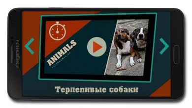 За секунду до...? скриншот №8