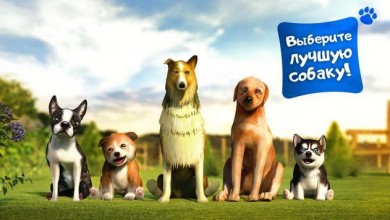 Симулятор Собаки [ВЗЛОМ Много денег] v 2.2.3