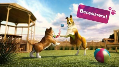 Симулятор Собаки [ВЗЛОМ Много денег] v 2.2.3 скриншот №6