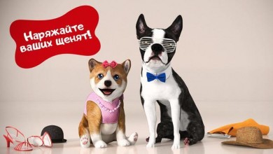 Симулятор Собаки [ВЗЛОМ Много денег] v 2.2.3 скриншот №5