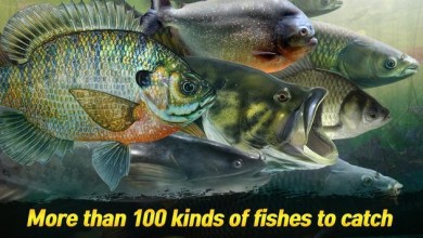 BIGFISH KING [ВЗЛОМ: много денег] v 1.0.0 скриншот №2
