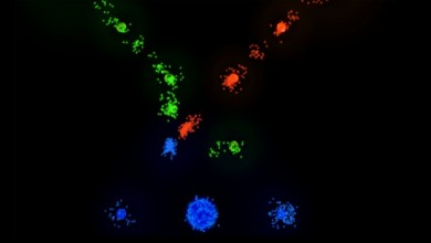 Auralux [ВЗЛОМ Все разблокировано] v 1.85 скриншот №5