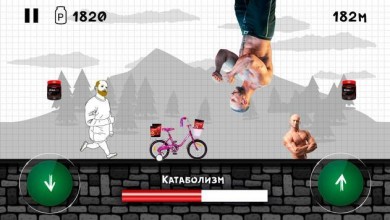 Stupid Kochka v 1.19 скриншот №8