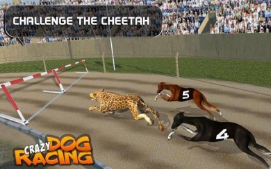 Crazy Dog Racing [ВЗЛОМ на деньги] v 2.2.9
