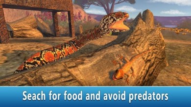 Lizard Simulator 3D [ВЗЛОМ: много денег] v 1.0 скриншот №2