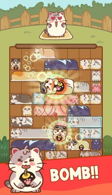 Slide The Cat screen 4