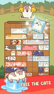 Slide The Cat screen 5