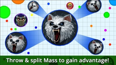 Игра Agar.io v 2.8.2 [ВЗЛОМ: много денег] скриншот №5