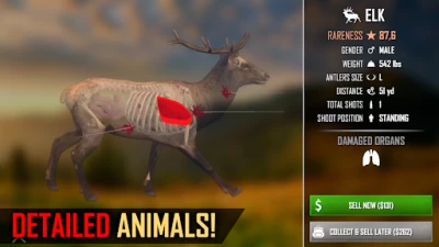 American Marksman (ВЗЛОМ, Много денег) screenshot №8