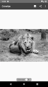 Colorize Images screen 3