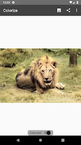 Colorize Images screen 4