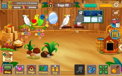 Bird Land: птичка и зоомагазин screenshot №5