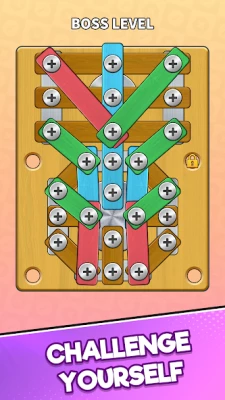 Screw Master - Pin Puzzle screen 3