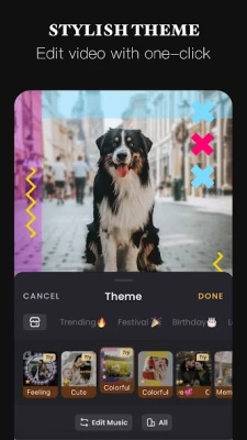 VivaVideo Pro screen 2