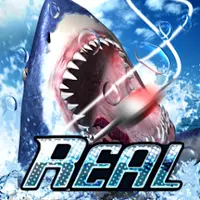 Real Fishing 3D [ВЗЛОМ: Много монет] v 1.1