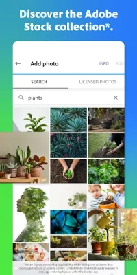 Adobe Express: Graphic Design screenshot №6