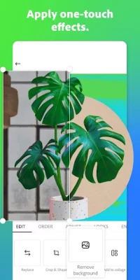 Adobe Express: Graphic Design screenshot №8