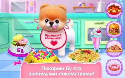 Бу - Самая милая собачка! screenshot №3