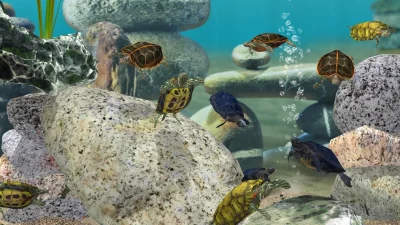 Fish Farm 3 - Aquarium screenshot №3