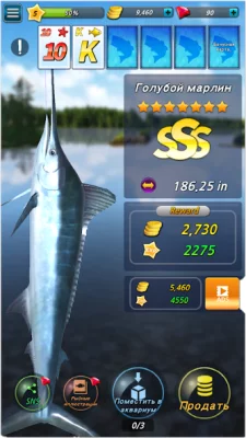 Fishing Season :River To Ocean screenshot №3