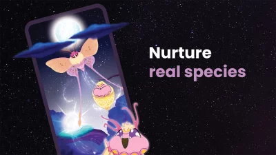 Flutter: Starlight screenshot №5