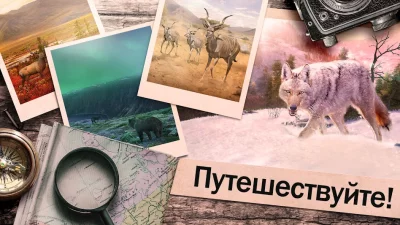 Hunting Clash: охота симулятор screenshot №5