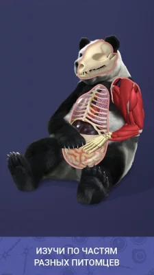 Idle Pet - Create cell by cell screenshot №3