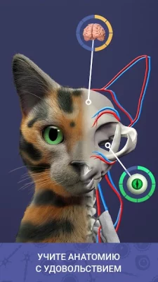 Idle Pet - Create cell by cell screenshot №6