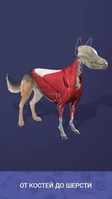 Idle Pet - Create cell by cell screenshot №7