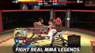 MMA Federation screen 3