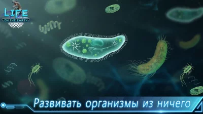 Life on Earth: эволюция игра screenshot №2