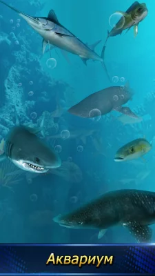 монстра рыболовный 2024 screenshot №2