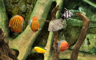MyLake 3D Aquarium screenshot №2