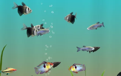 MyLake 3D Aquarium screenshot №8