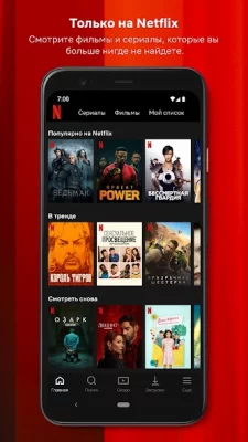 Netflix screenshot №3