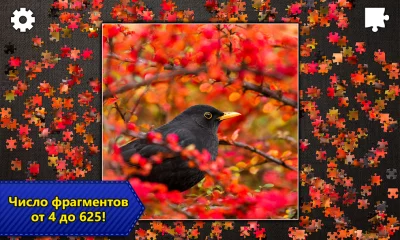 Пазлы Jigsaw Puzzle Epic screenshot №6