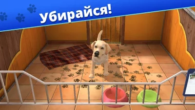 Pet World - приют для животных screenshot №2