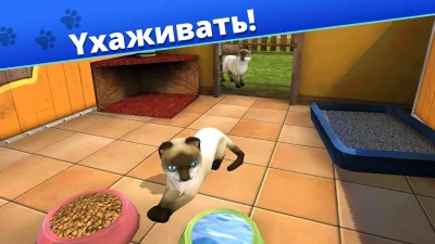 Pet World - приют для животных screenshot №4