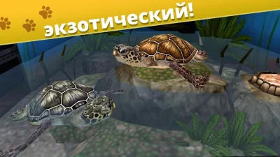 Pet World - приют для животных screenshot №5