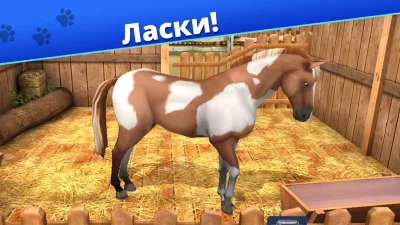 Pet World - приют для животных screenshot №6